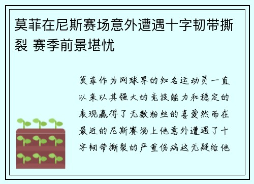莫菲在尼斯赛场意外遭遇十字韧带撕裂 赛季前景堪忧 莫菲在尼斯赛场意外遭遇十字韧带撕裂 赛季前景堪忧